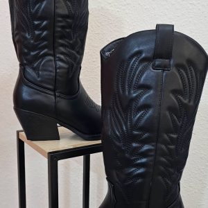 Botas Cawboy